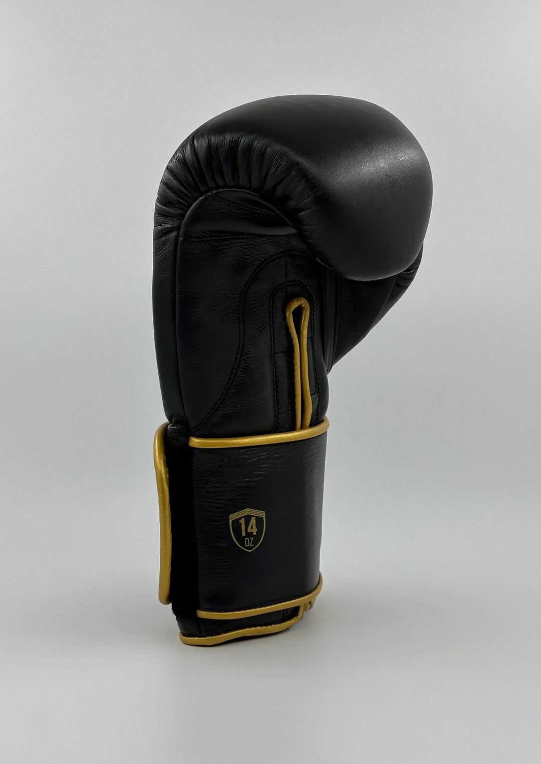 G15000 BOXING GLOVES - BLACK/GOLD