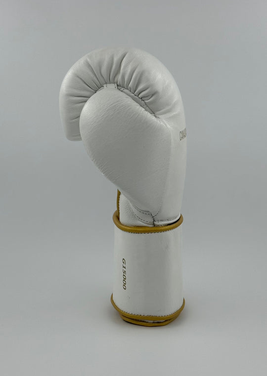 G15000 BOXING GLOVES - WHITE/GOLD