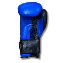 Load image into Gallery viewer, CANADIAN HOOK EARL 16 oz BOXING GLOVES - BLUE
